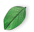 floating_leaf_01 https://sparklebee.co.uk/wp-content/uploads/2025/07/floating_leaf_01.png